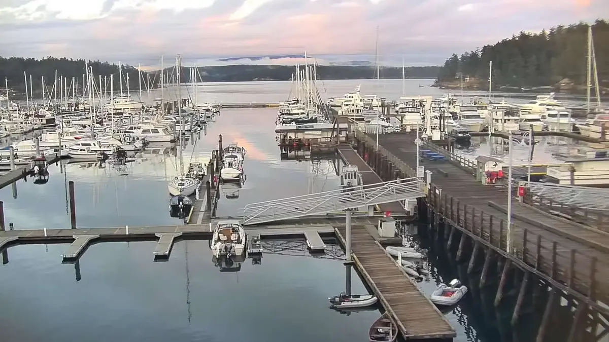 Friday Harbor Marina Live Camera - San Juan Island, WA