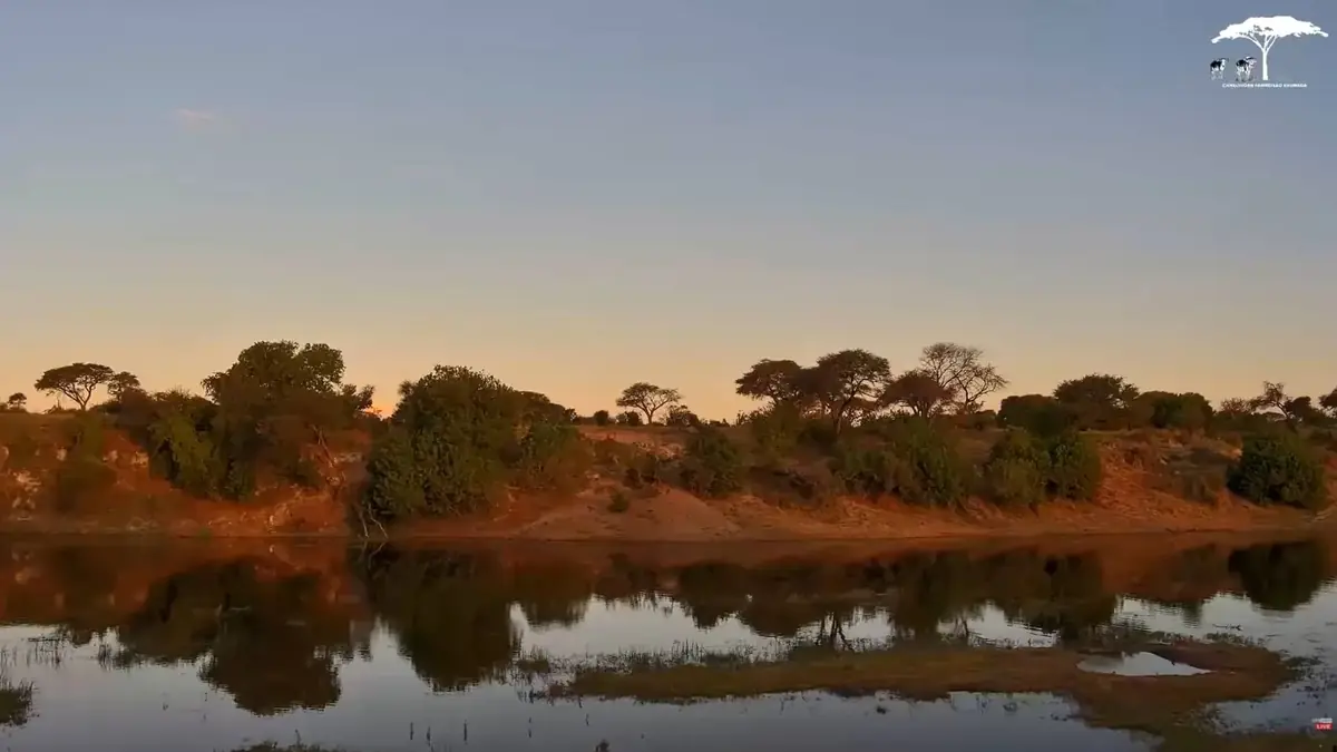Camelthorn Waterhole Live Camera - Boteti River, Botswana