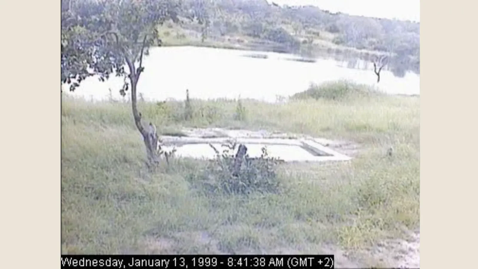 An early Djuma Cam frame, January 13, 1999 Image: Djuma