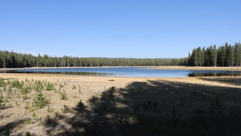 Buffalo Lake, in Yellowstone's Idaho section. Photo: scatman / BackcountryPost