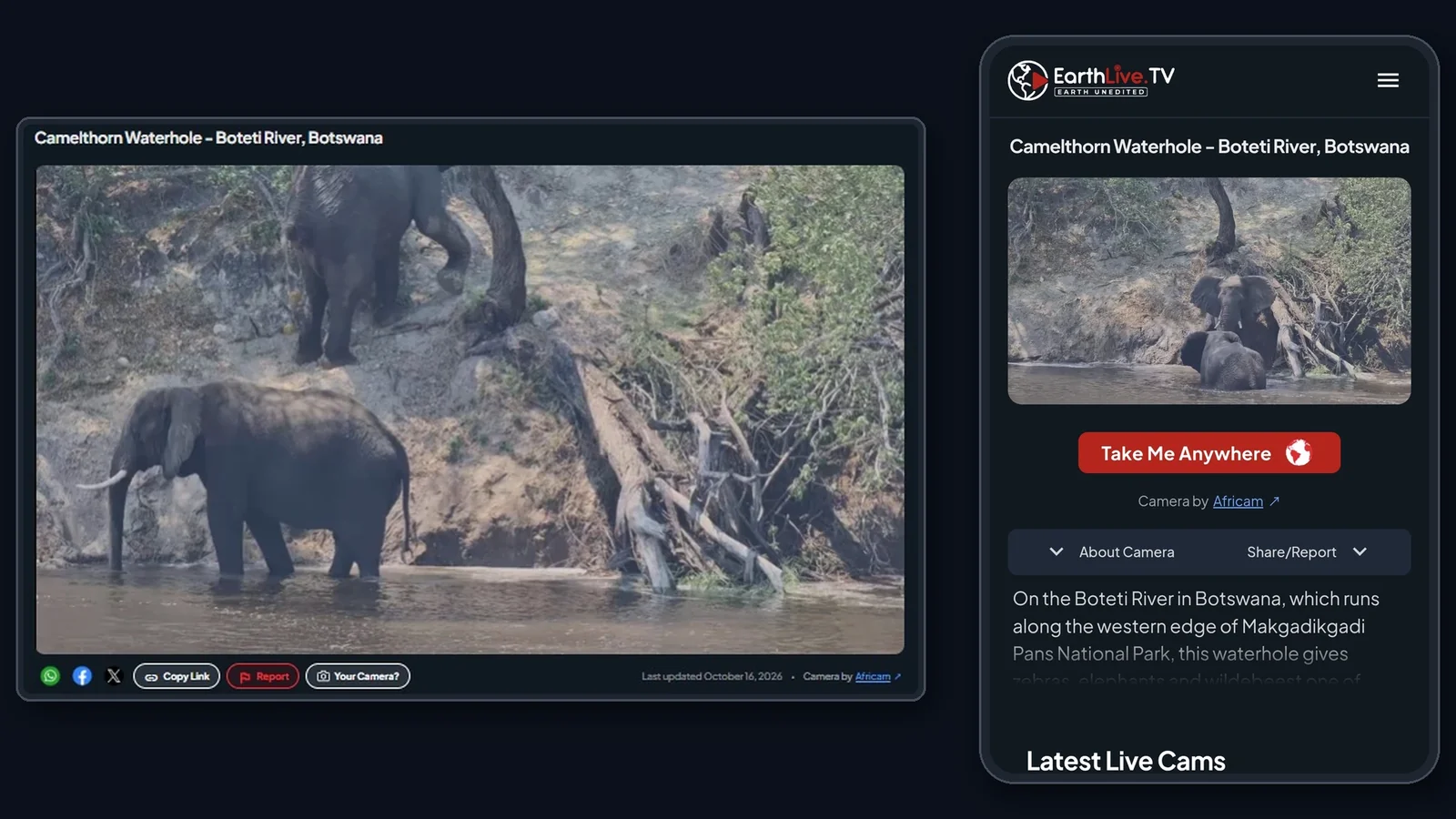A listed cam on desktop and mobile, with the owner credited under the stream. Photo: EarthLive.TV