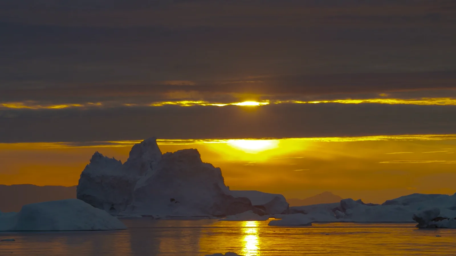 5 of the Loneliest Live Webcams on Earth