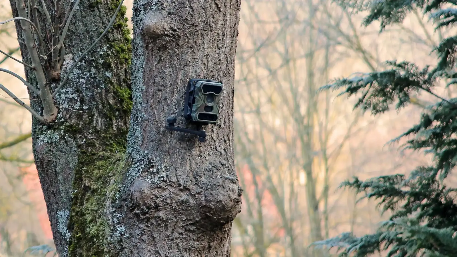 Let the World Know About Your Camera