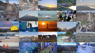 Best Live Webcam Categories to Watch Right Now (2026 Guide)